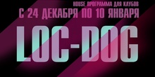 Electrodog 2010