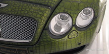 Пресмыкающийся Bentley