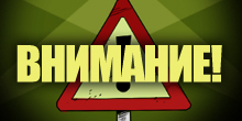 Народное голосование: Pava против Twide